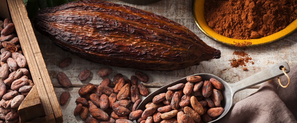 Cacao, buono per il cuore e antiossidante